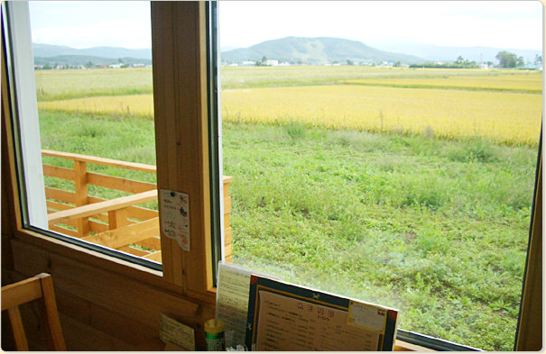窓から東川町の田園風景が望めます